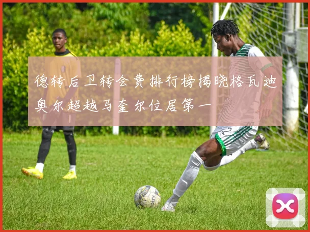 德转后卫转会费排行榜揭晓格瓦迪奥尔超越马奎尔位居第一