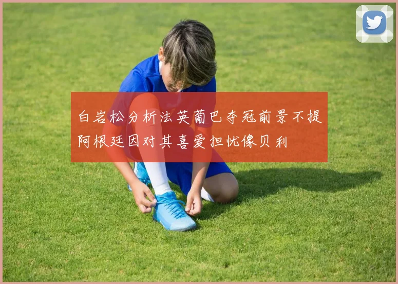 白岩松分析法英葡巴夺冠前景不提阿根廷因对其喜爱担忧像贝利